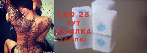 гидра Аркадак