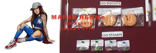 гидра Аркадак