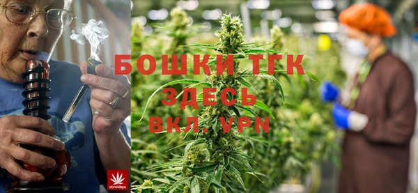 гидра Аркадак