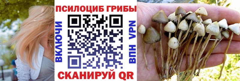 Галлюциногенные грибы GOLDEN TEACHER Мирный