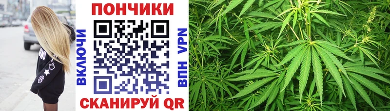Марихуана OG Kush  Мирный 